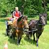 DEN KONÍ-4.ročník soutěže spřežení 16.6.2012