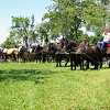 DEN KONÍ-4.ročník soutěže spřežení 16.6.2012