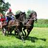 DEN KONÍ-4.ročník soutěže spřežení 16.6.2012