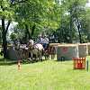 DEN KONÍ-4.ročník soutěže spřežení 16.6.2012