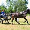 DEN KONÍ-4.ročník soutěže spřežení 16.6.2012