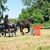 DEN KONÍ-4.ročník soutěže spřežení 16.6.2012