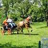 DEN KONÍ-4.ročník soutěže spřežení 16.6.2012