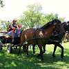 DEN KONÍ-4.ročník soutěže spřežení 16.6.2012